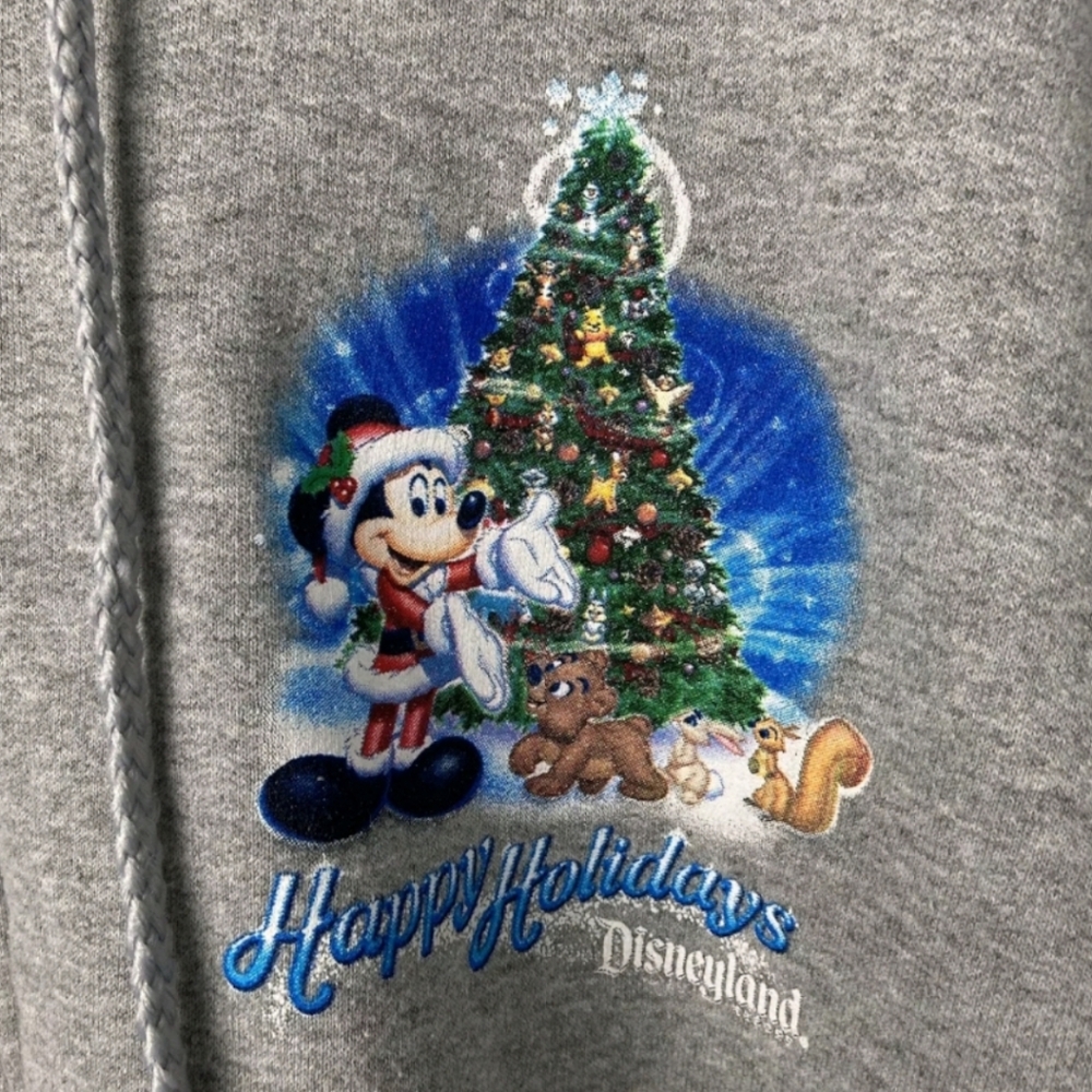 Disney World 2016‎ Holiday Gray Zip-up Hooded Jacket, Unisex Adult - Picture 2 of 14